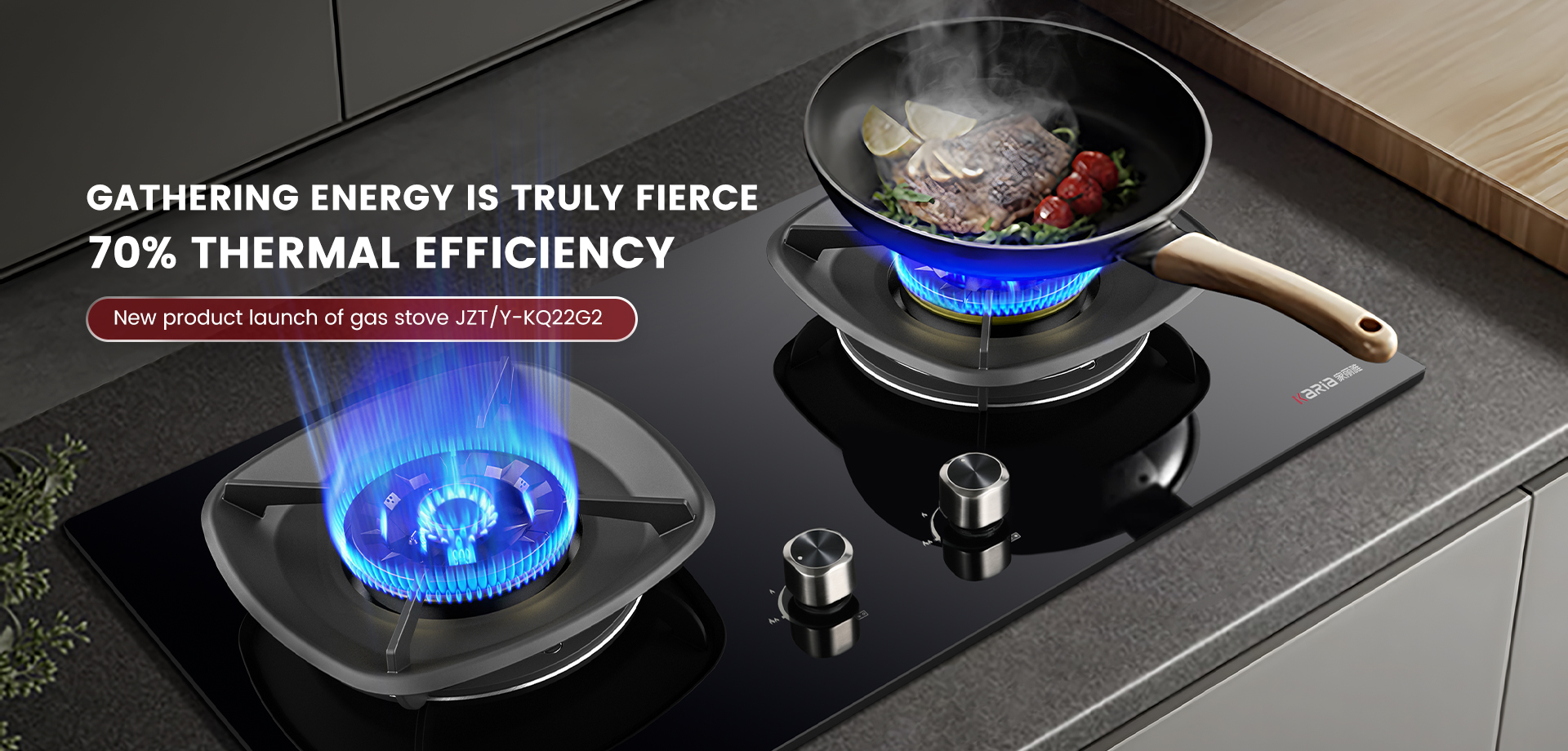 OEM Chimney Range Hood